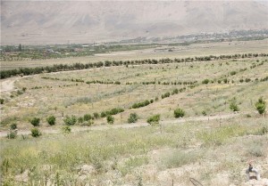 رفع تصرف ۹۸ هکتار از اراضی آیینه‌ورزان دماوند به ارزش ۴۹۵ میلیارد تومان
