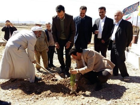 ۳۶ اصله نهال در مزار شهدای روستای آیینهورزان دماوند غرس شد