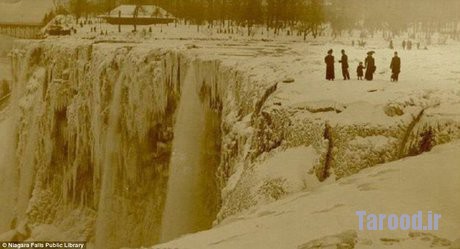 afshar niagara (4)