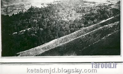 ax samavand (10)