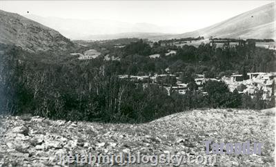 ax samavand (6)