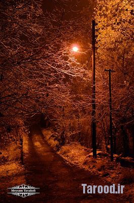 barfe-damavand