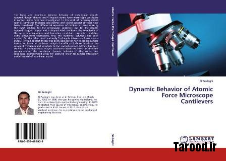 Dynamic Behavior of Atomic Force Microscope Cantilevers