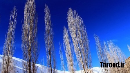 Havir (13)