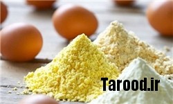 خبرگزاری فارس: تخممرغ، شیر و خامه فشار خون را بالا میبرند