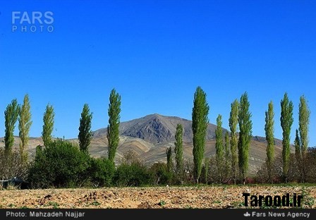 bahari damavand (13)