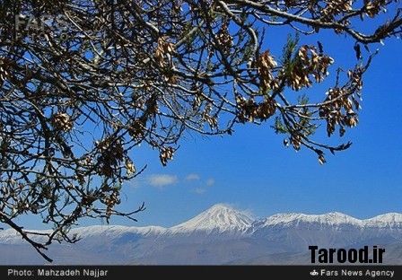 bahari damavand (23)