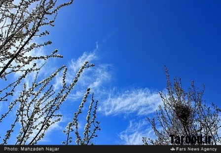 bahari damavand (28)