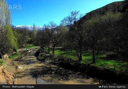 bahari damavand (36)
