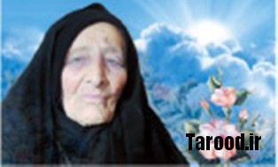 zeinab borbori