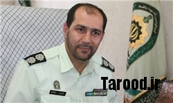 reza reyvandi