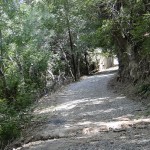 عملیات عمرانی روستای وسکاره و مهرآباد رودهن