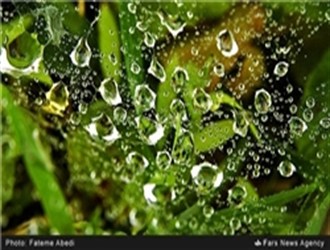 /بارش پراکنده باران در پایتخت