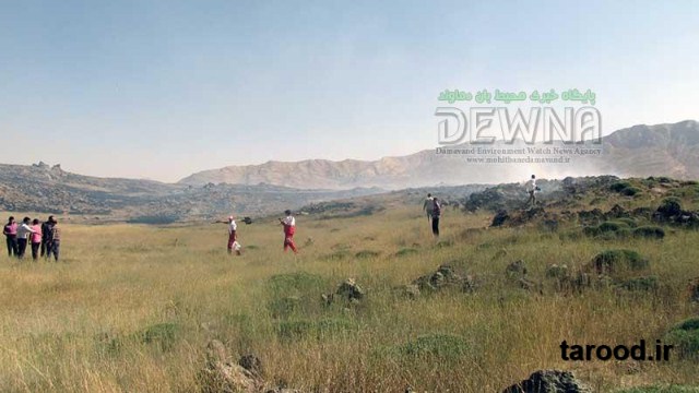 تصاویر آتش سوزی پارک ملی لار