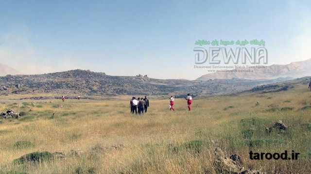 تصاویر آتش سوزی پارک ملی لار