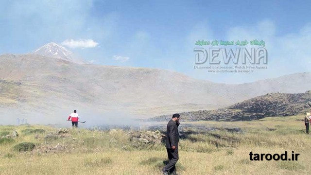 تصاویر آتش سوزی پارک ملی لار