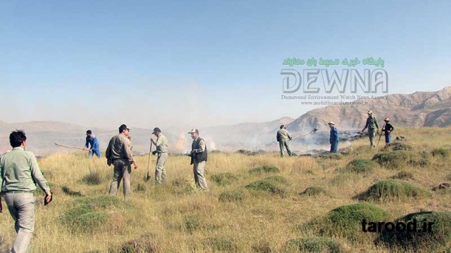 تصاویر آتش سوزی پارک ملی لار