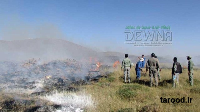 تصاویر آتش سوزی پارک ملی لار