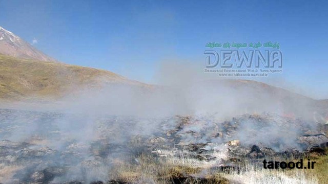 تصاویر آتش سوزی پارک ملی لار