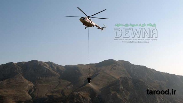 تصاویر آتش سوزی پارک ملی لار