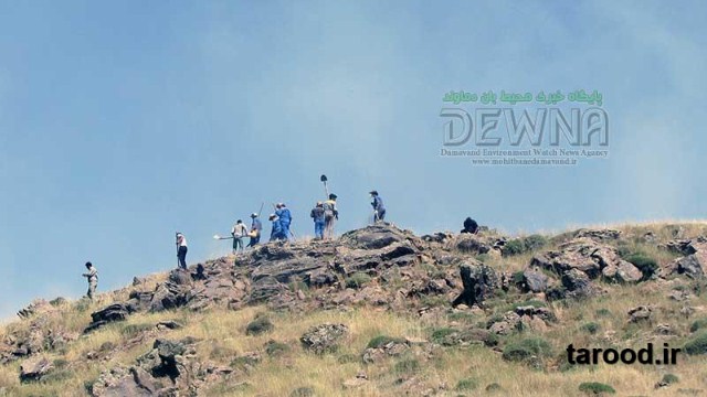 تصاویر آتش سوزی پارک ملی لار