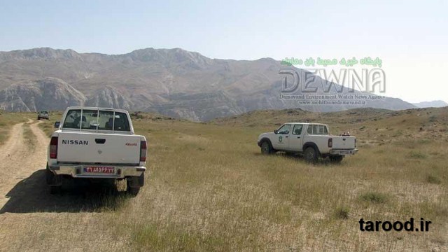 تصاویر آتش سوزی پارک ملی لار