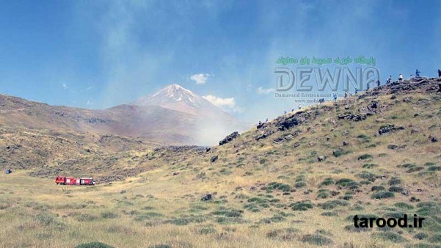 تصاویر آتش سوزی پارک ملی لار