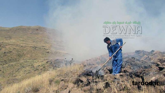 تصاویر آتش سوزی پارک ملی لار