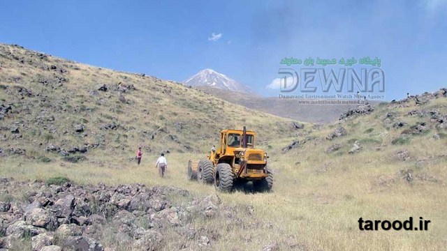 تصاویر آتش سوزی پارک ملی لار