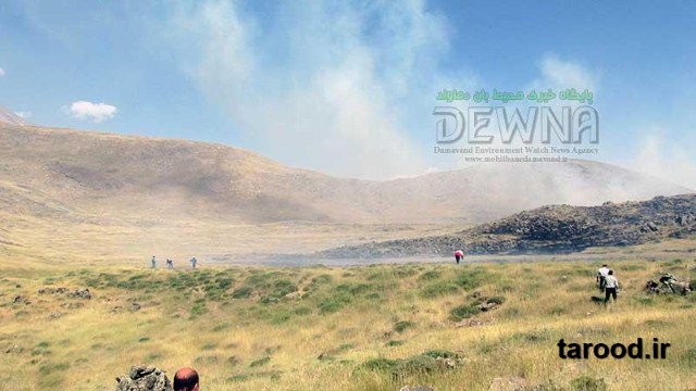 تصاویر آتش سوزی پارک ملی لار
