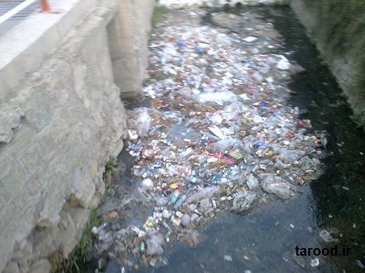 آشغال در رودخانه تارود