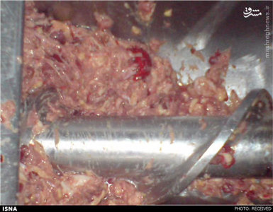 Sausage factory (8)