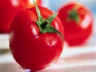 گوجه فرنگی