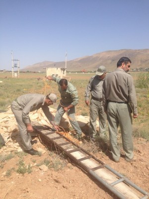گزار در استخر دماوند