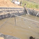 گزار در استخر دماوند