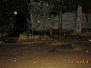 آبگرفتگی خیابان گیلاوند