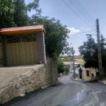 چنار شرق دماوند