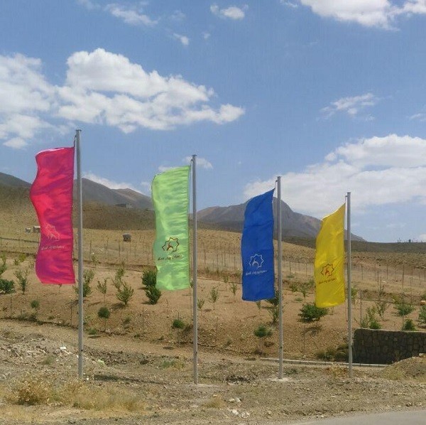 چنار شرق دماوند