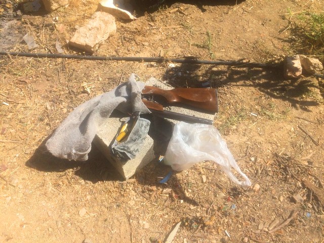 IMG_3448-Copy
