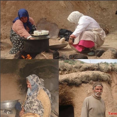 کفتار دره دماوند