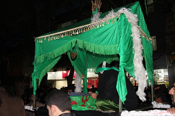 Picture236