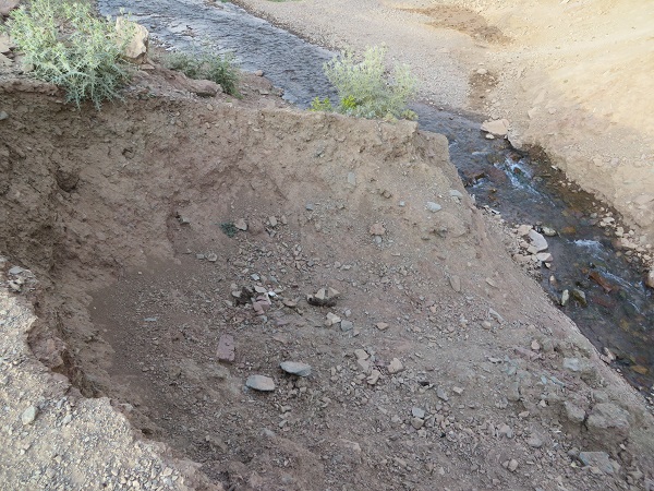 معدن سرخ پلنگان