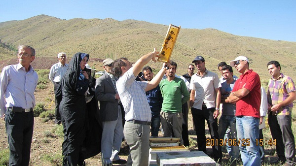 مسعود رضایی