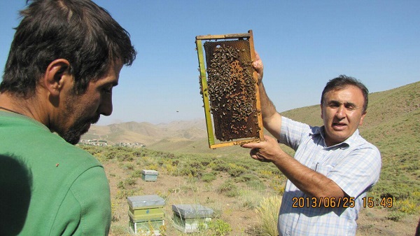 مسعود رضایی