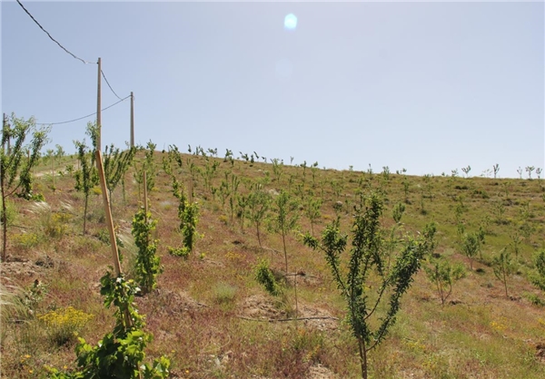 13950302000241_PhotoL