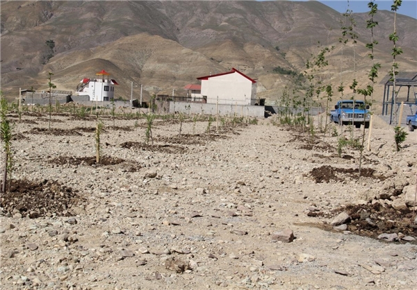 13950302000249_PhotoL