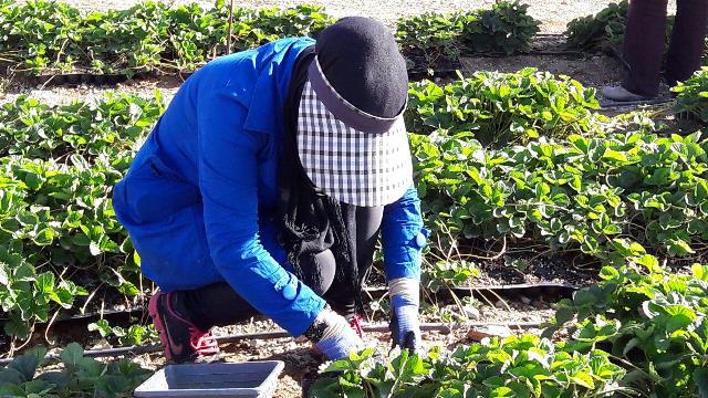 photo_2016-08-23_18-18-22