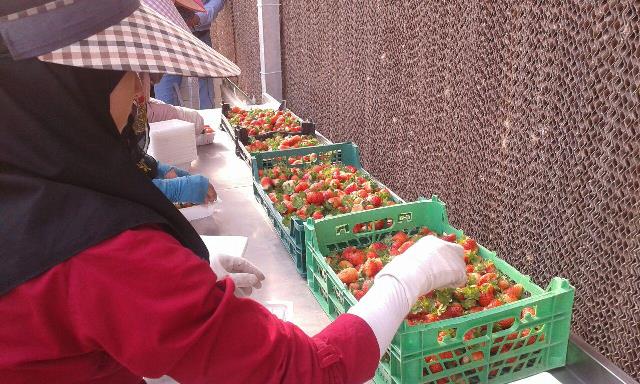 photo_2016-08-23_18-23-49