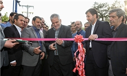 معاون وزیر نفت