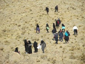 تقدیر از معلمان تربیت بدنی